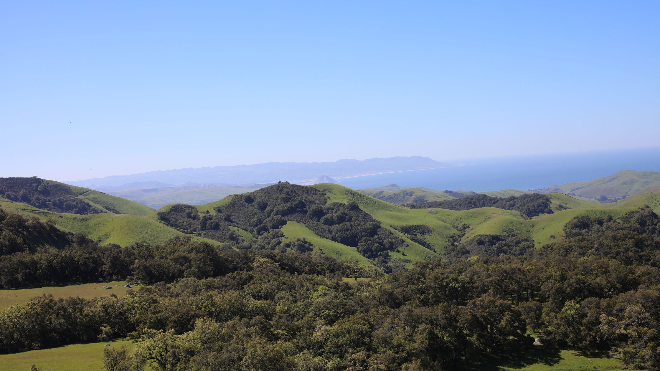 The Wedding Website of Jana Galambos and Joshua Johnson