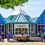 Saint Louis Zoo