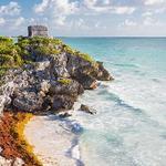 Swim with the Dolphins