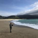 Carmel Beach and Asilomar State Beach