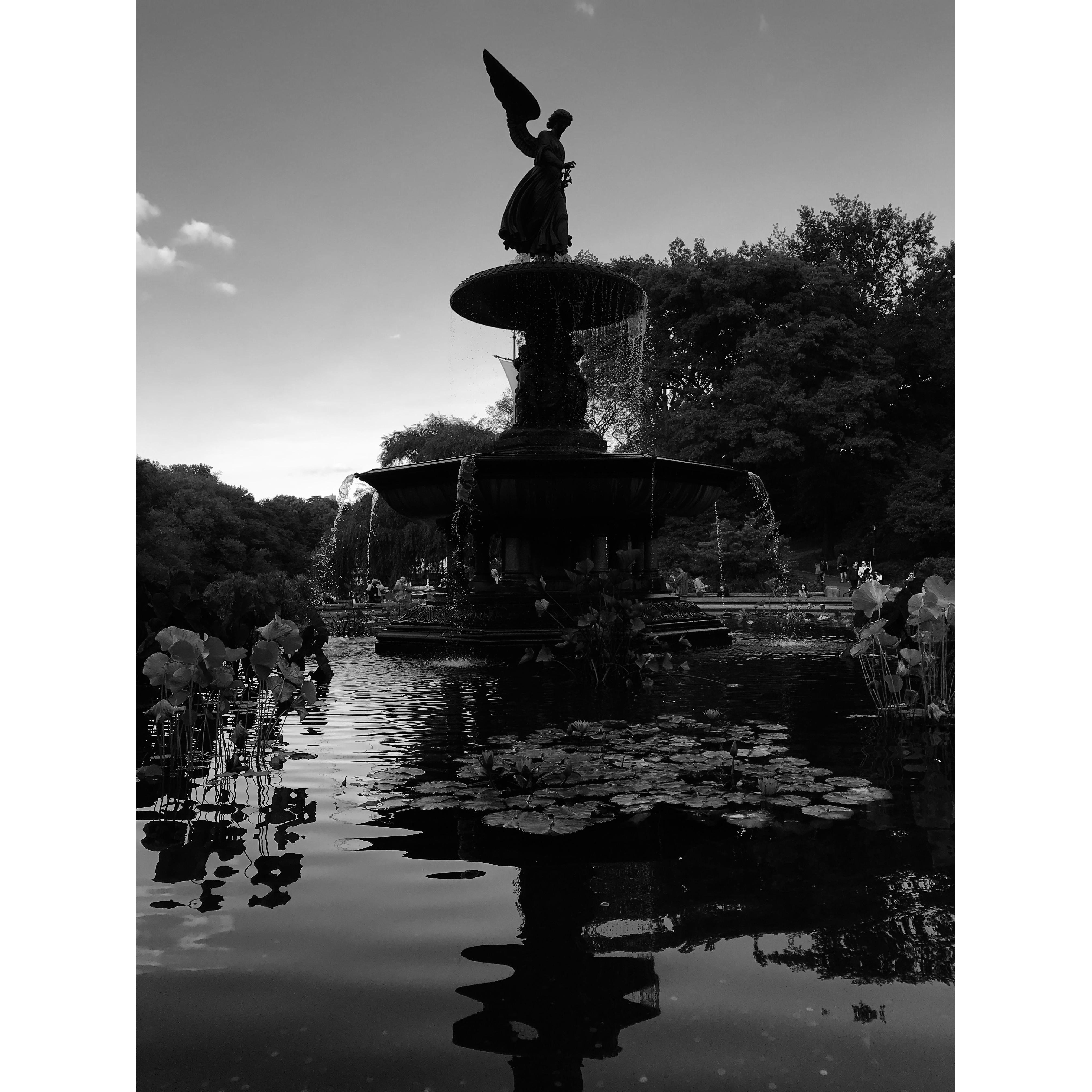 Proposal day. Bethesda fountain.