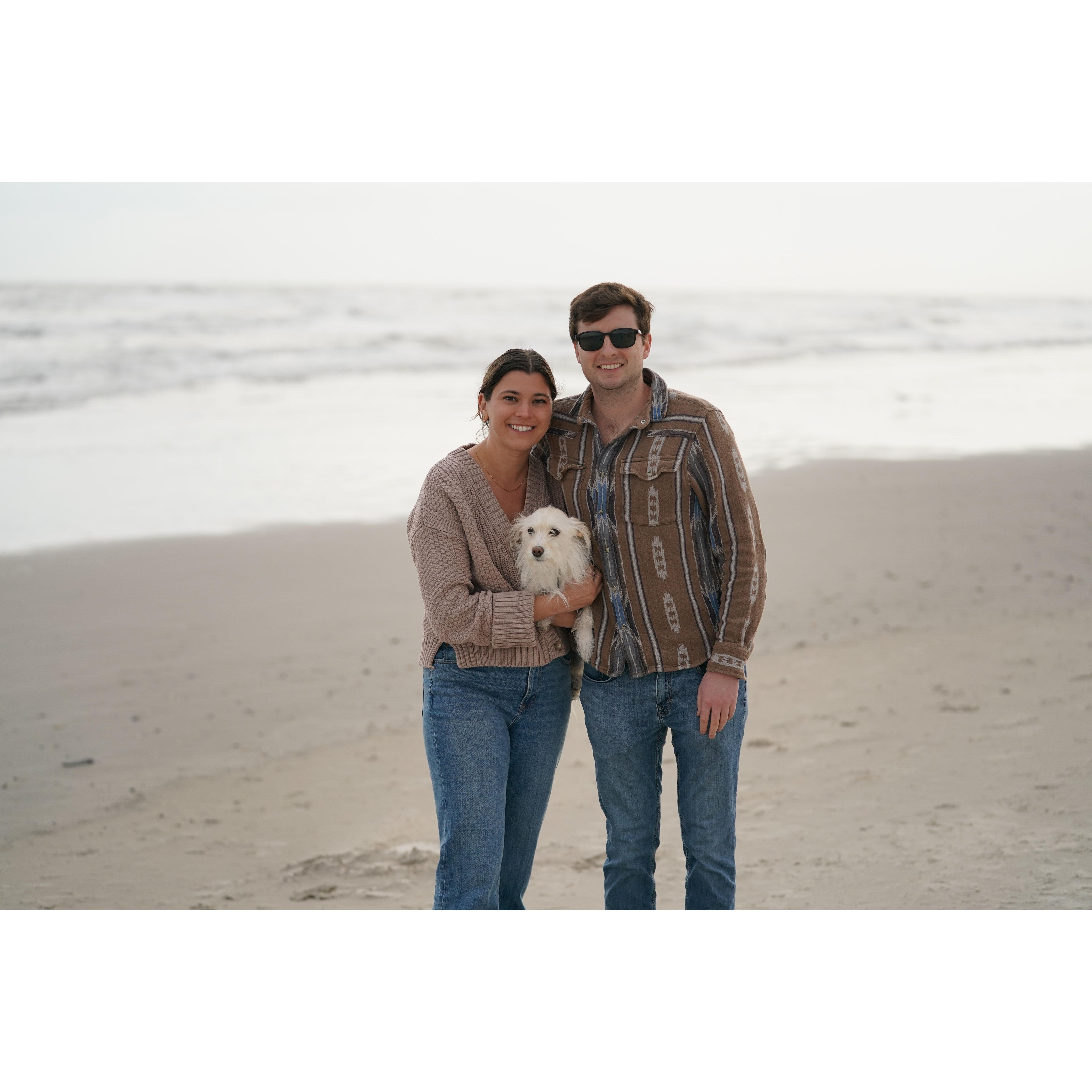 Meet my pride and joy Lucy. Jack has taken to dog fatherhood very well.