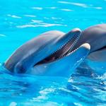 SeaWorld San Diego