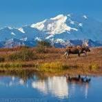 Denali