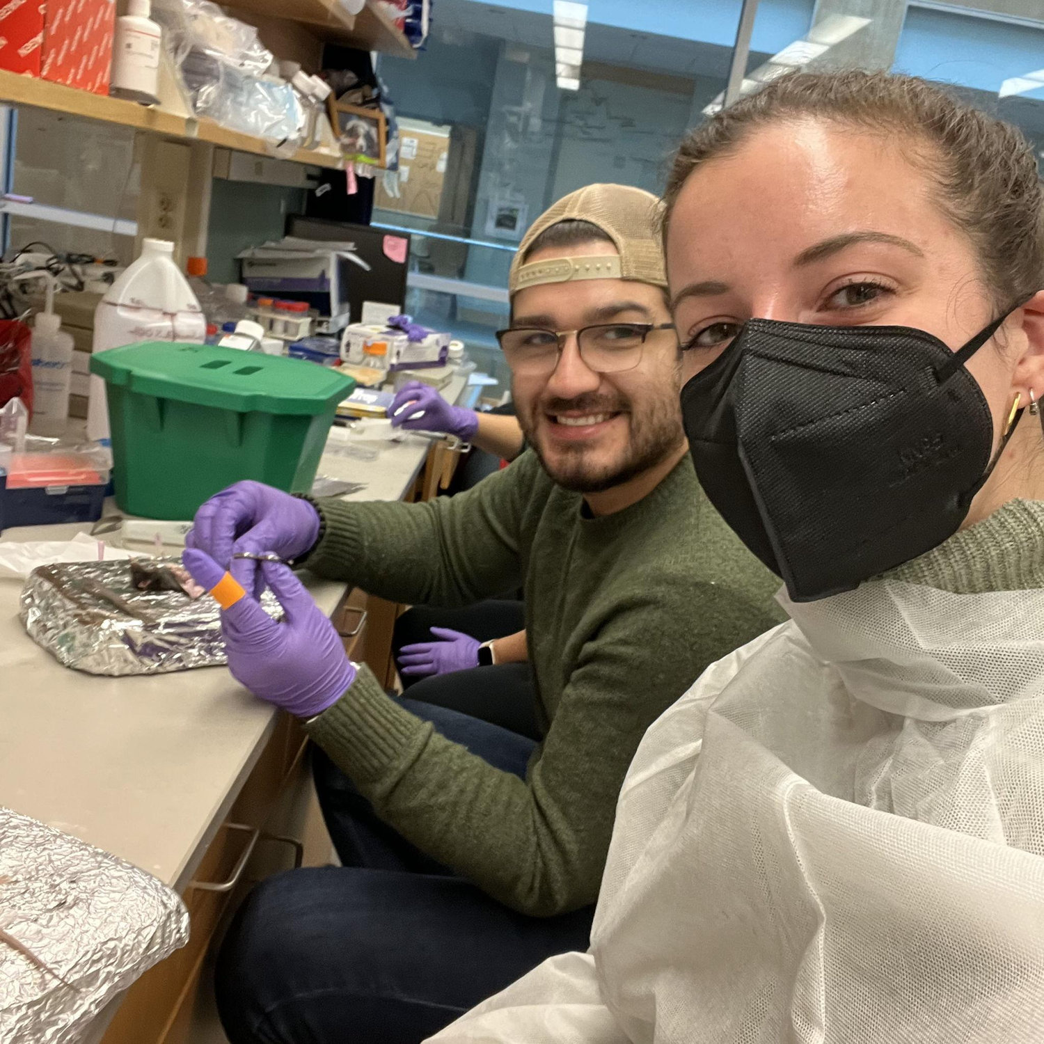 Working in lab together!