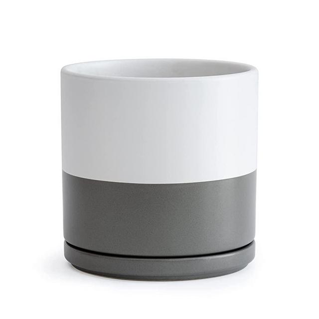 D'vine Dev Ceramic Planter Pot with Drainage Hole and Saucer, Indoor Cylinder Round Planter Pot, 8 Inch, White/Speckled Grey, 94-O-M-6