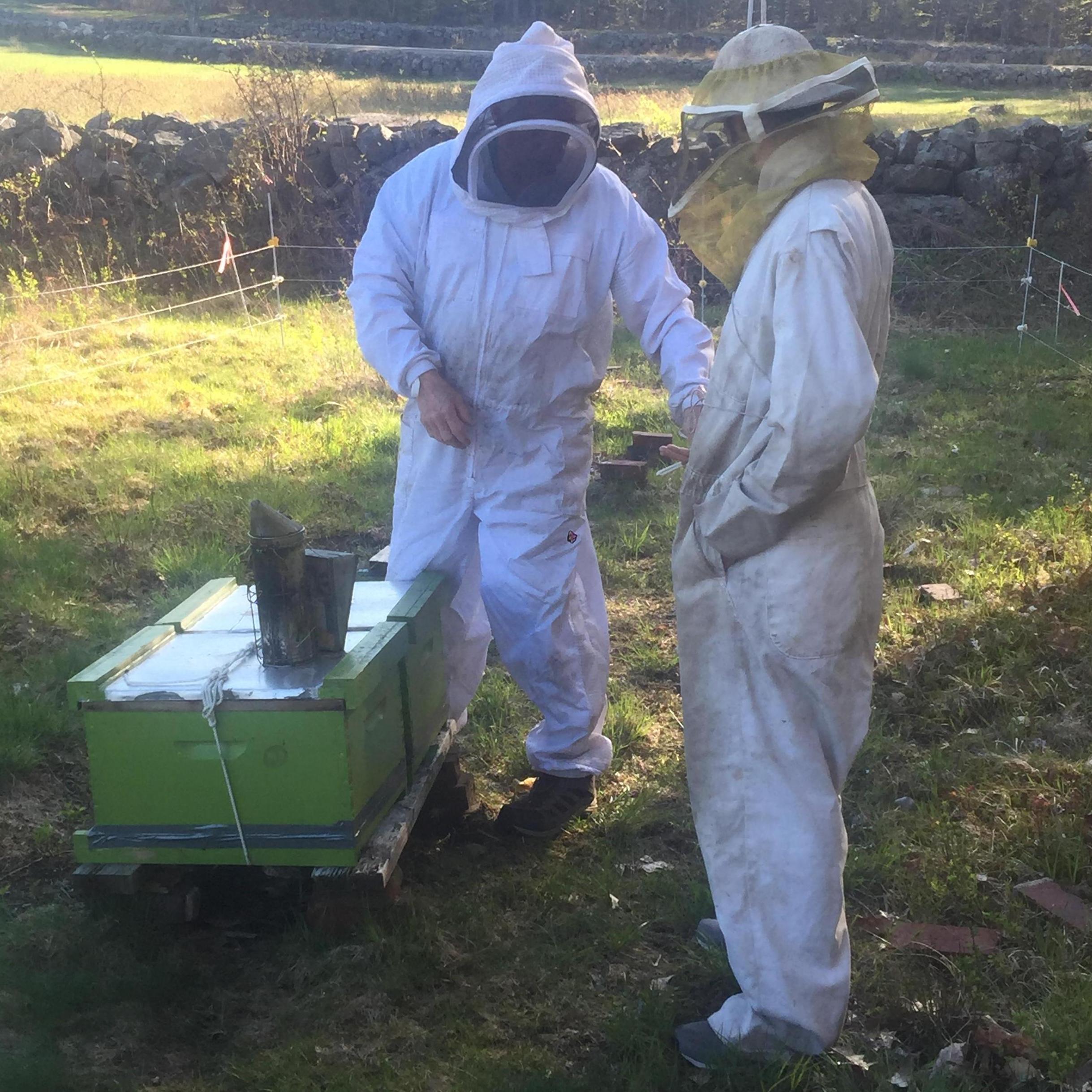 Hannah's dad, George, teaches Thomas the family beekeeping business.