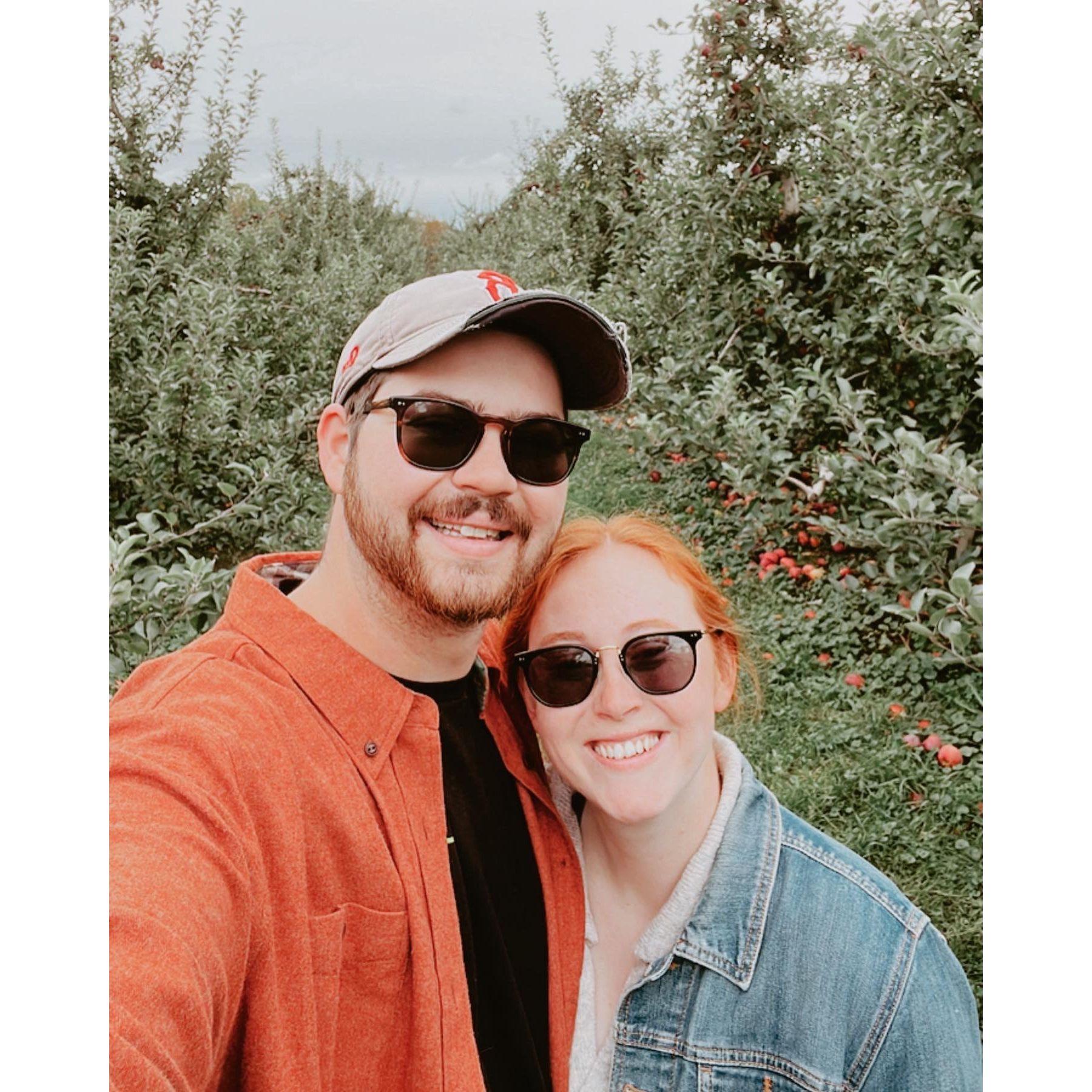 Annual apple picking photo