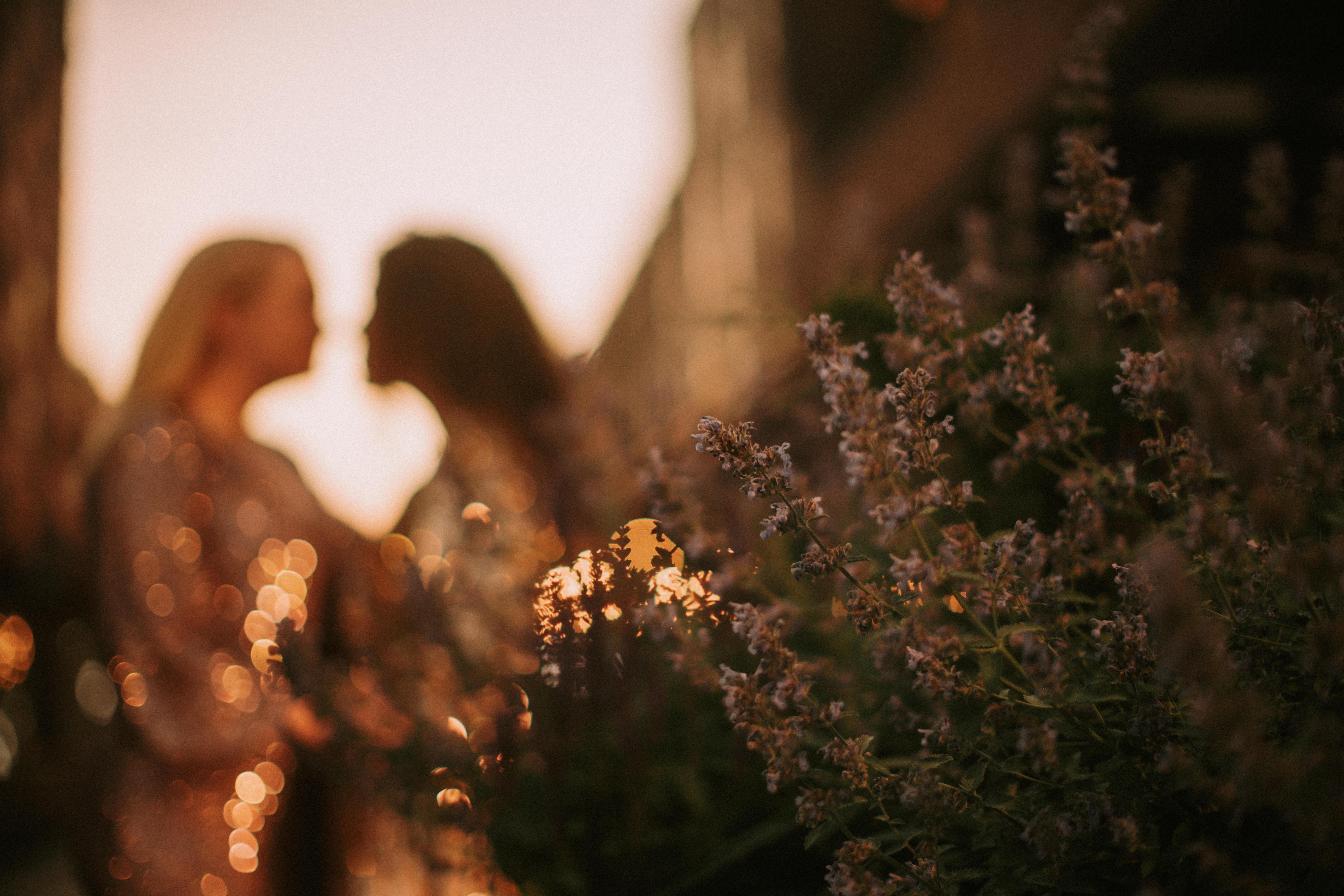 The Wedding Website of Emily Smith and Aria Heller