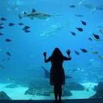 Shreveport Aquarium