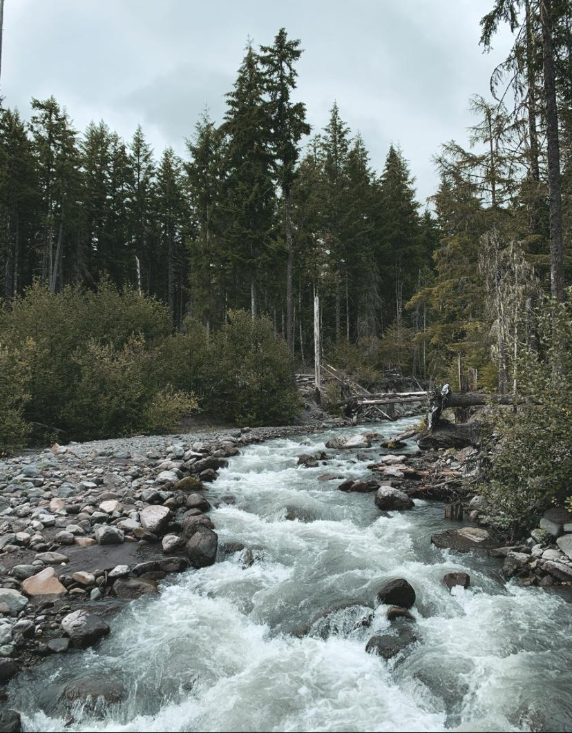 Mt Rainier National Park