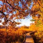 Wawayanda State Park