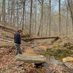 Bull Run Occoquan Trail