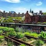 The High Line