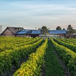 Newport Vineyards