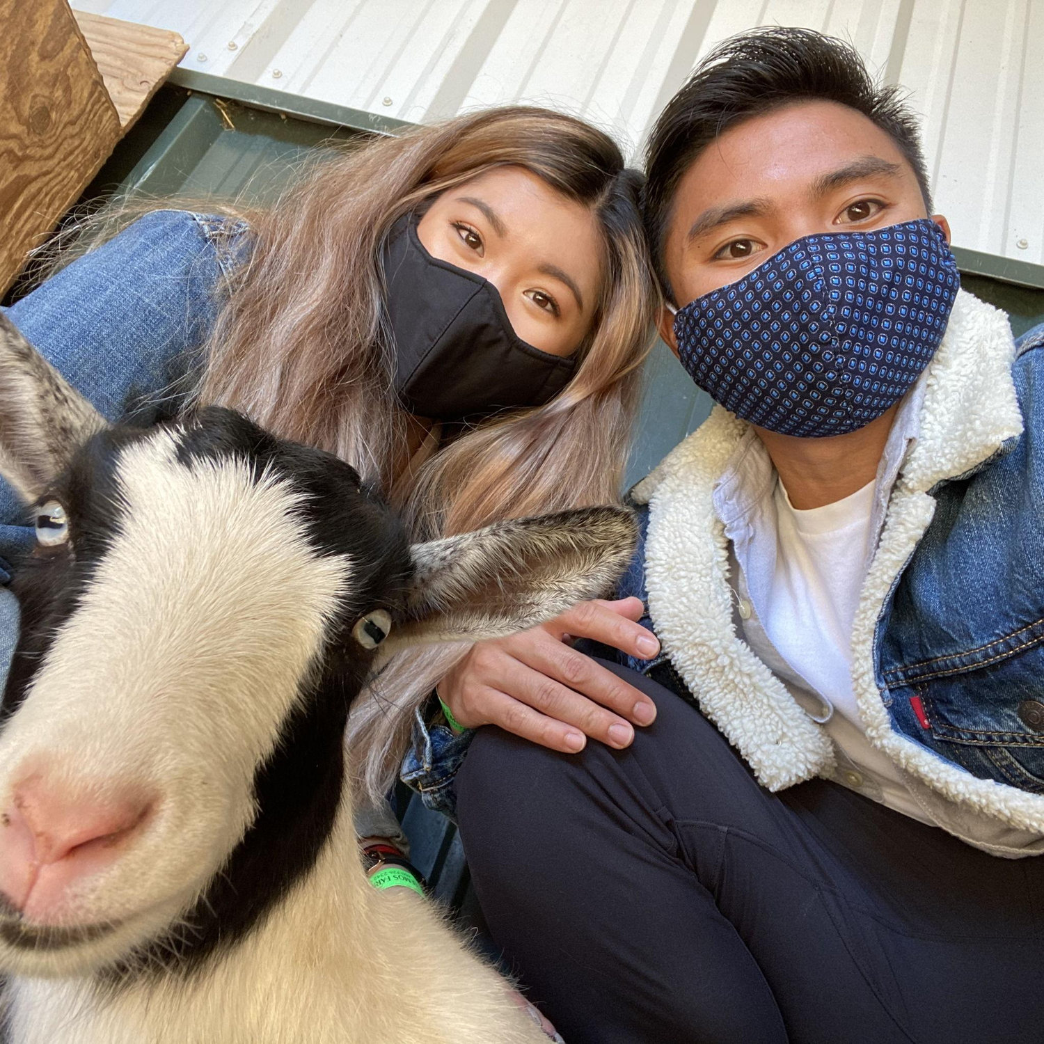 2020 - Petting zoo at the pumpkin patch