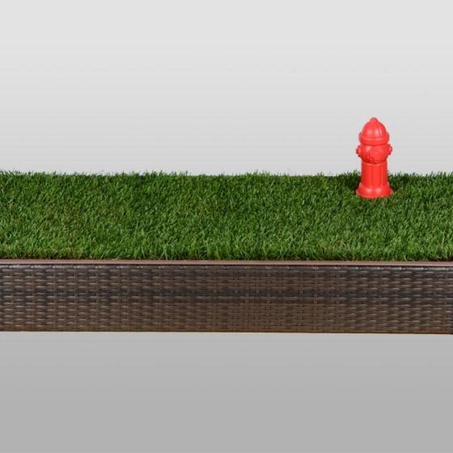 Porch Potty