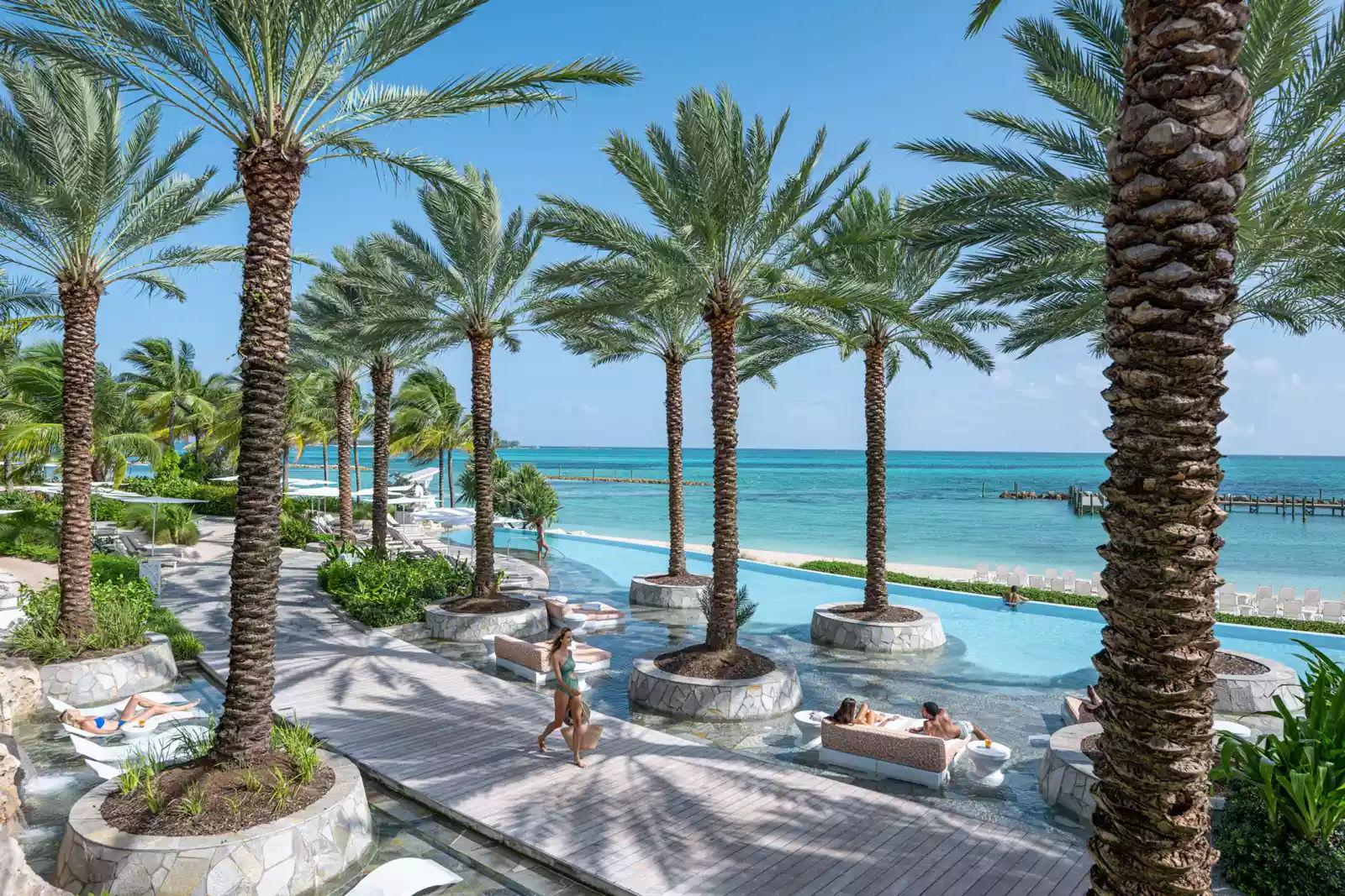 The Wedding Website of Cecilia Gutierrez and Samuel Charlton