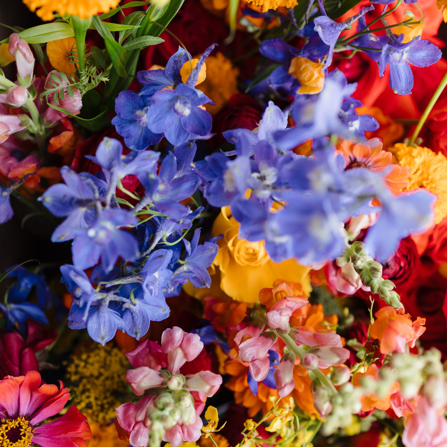 Special thanks to Karina Drinkard of KD Floral Design for creating the floral arrangements that brought elegance, color, and warmth to our wedding day. 

KD Floral Design
kdfloraldesigninfo@gmail.com