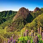 Parque Nacional de Garajonay