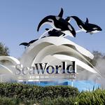 SeaWorld Orlando
