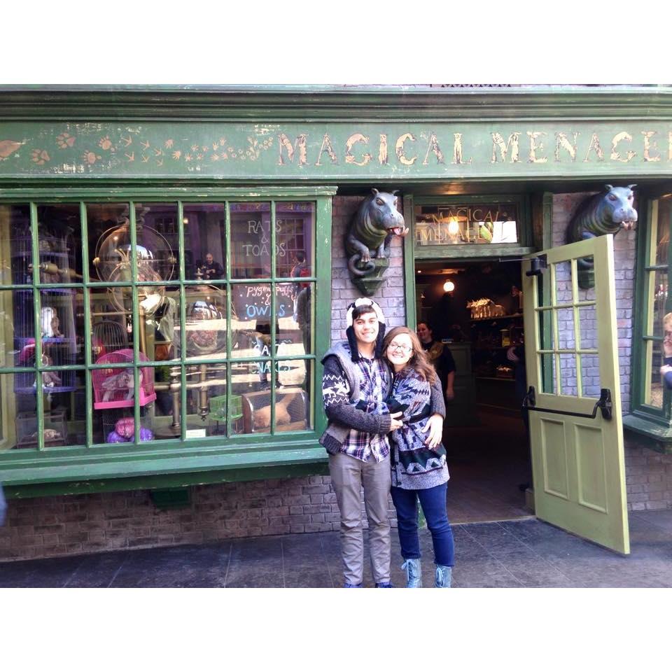 Where it all started! Magical Menagerie