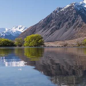 Picnic Lunch on South Island