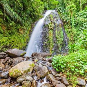 Dark View Falls & Historical West Coast Experience in St. Vincent