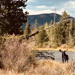 Rocky Mountain National Park