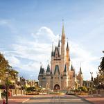 Magic Kingdom