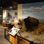 Kansas Museum of History