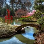 Brooklyn Botanic Garden