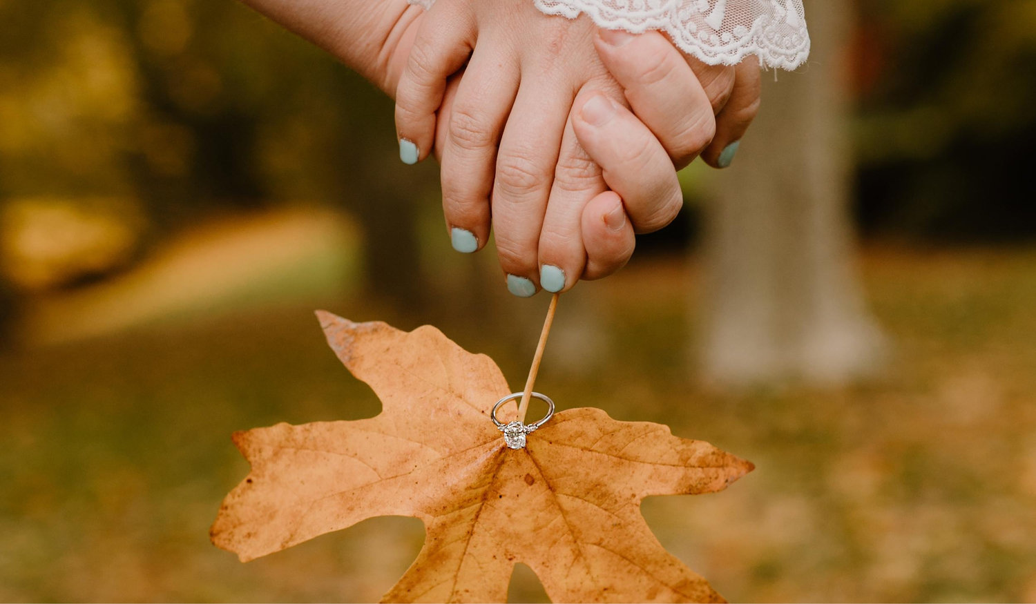 The Wedding Website of Cassidy Walters and Cleo Harvey