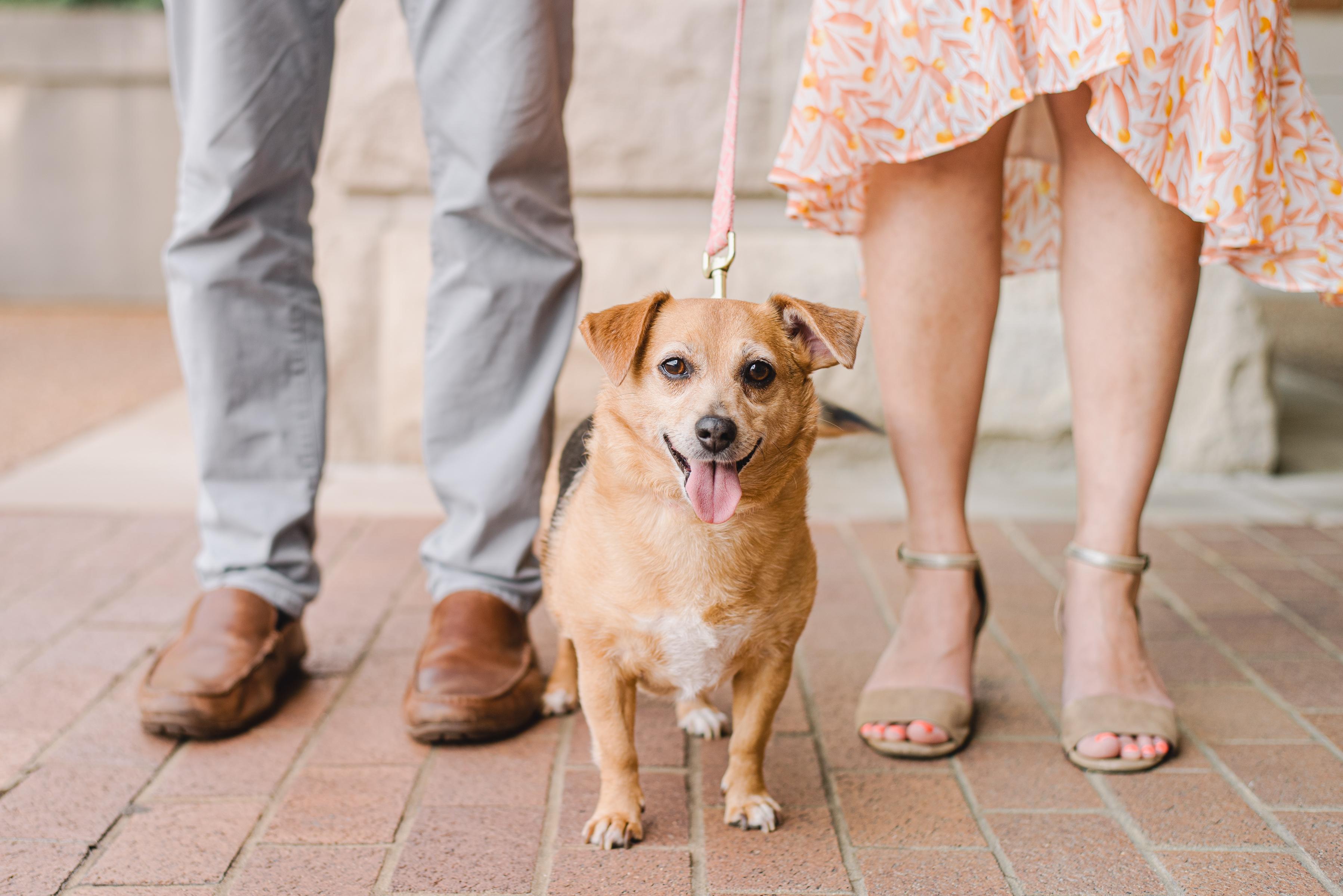 The Wedding Website of Meghana Sthanam and Clay Anderson