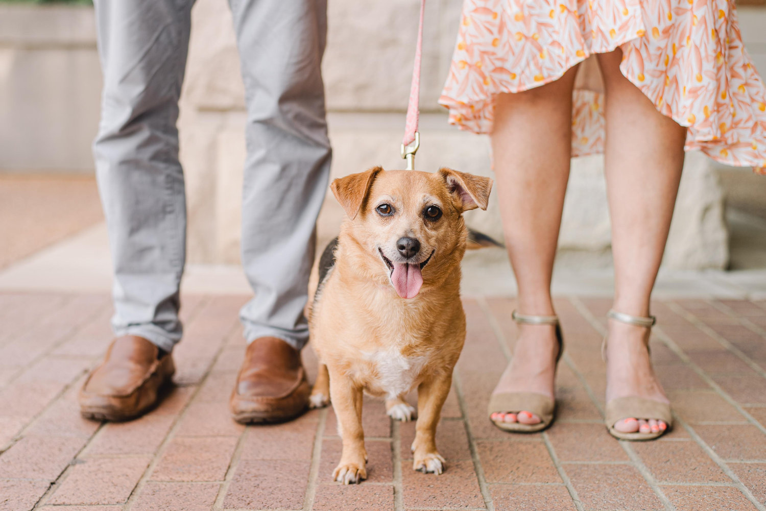 The Wedding Website of Meghana Sthanam and Clay Anderson