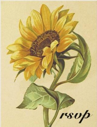 The Wedding Website of Genevie Casillas and Christopher Escobedo