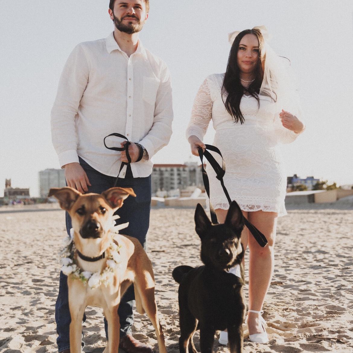 Heineken and Stella are truly stars of this engagement photo!