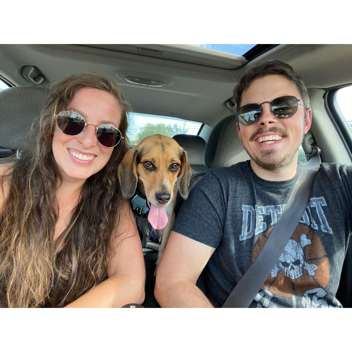 we love taking pictures in cars with dogs ;) sherman 2021