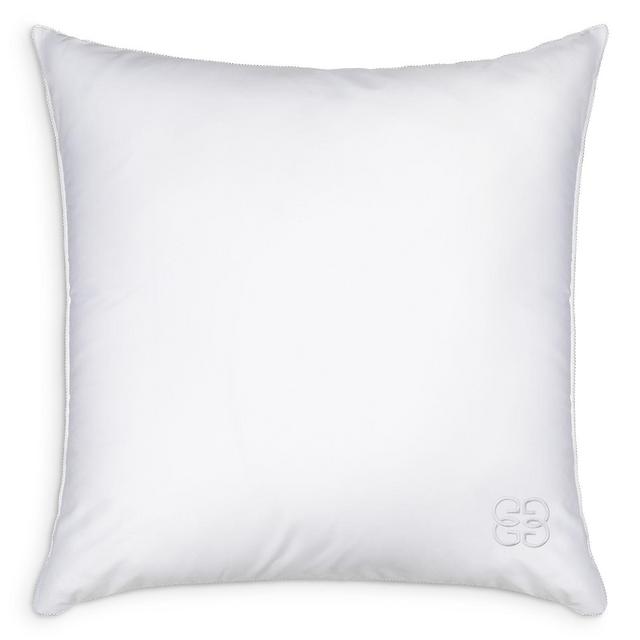 Gingerlily 50/50 Silk Blend Euro Pillow, 26" x 26"
