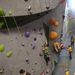 Roca Climbing & Fitness