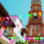 Tropical City Tour