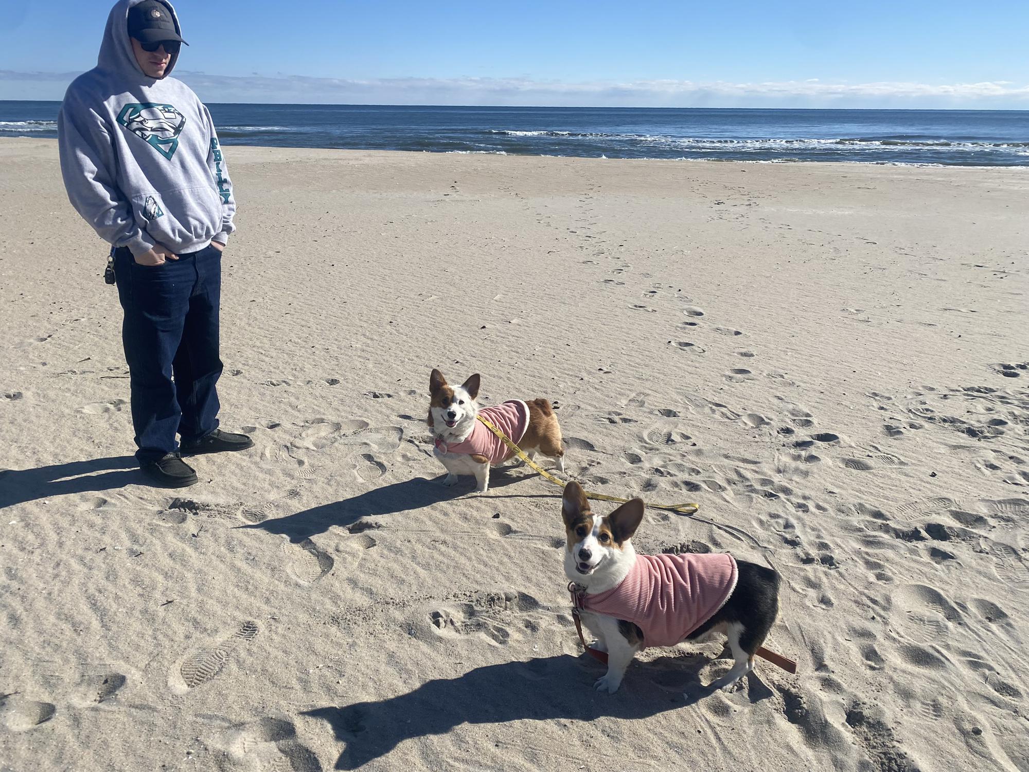 🏖️🐶Sisters Playing At The Beach🐶🏝️