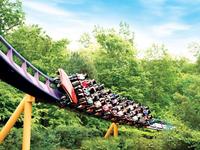 Busch Gardens Williamsburg