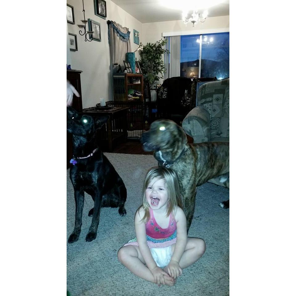 Jax and Roxy and Domino!