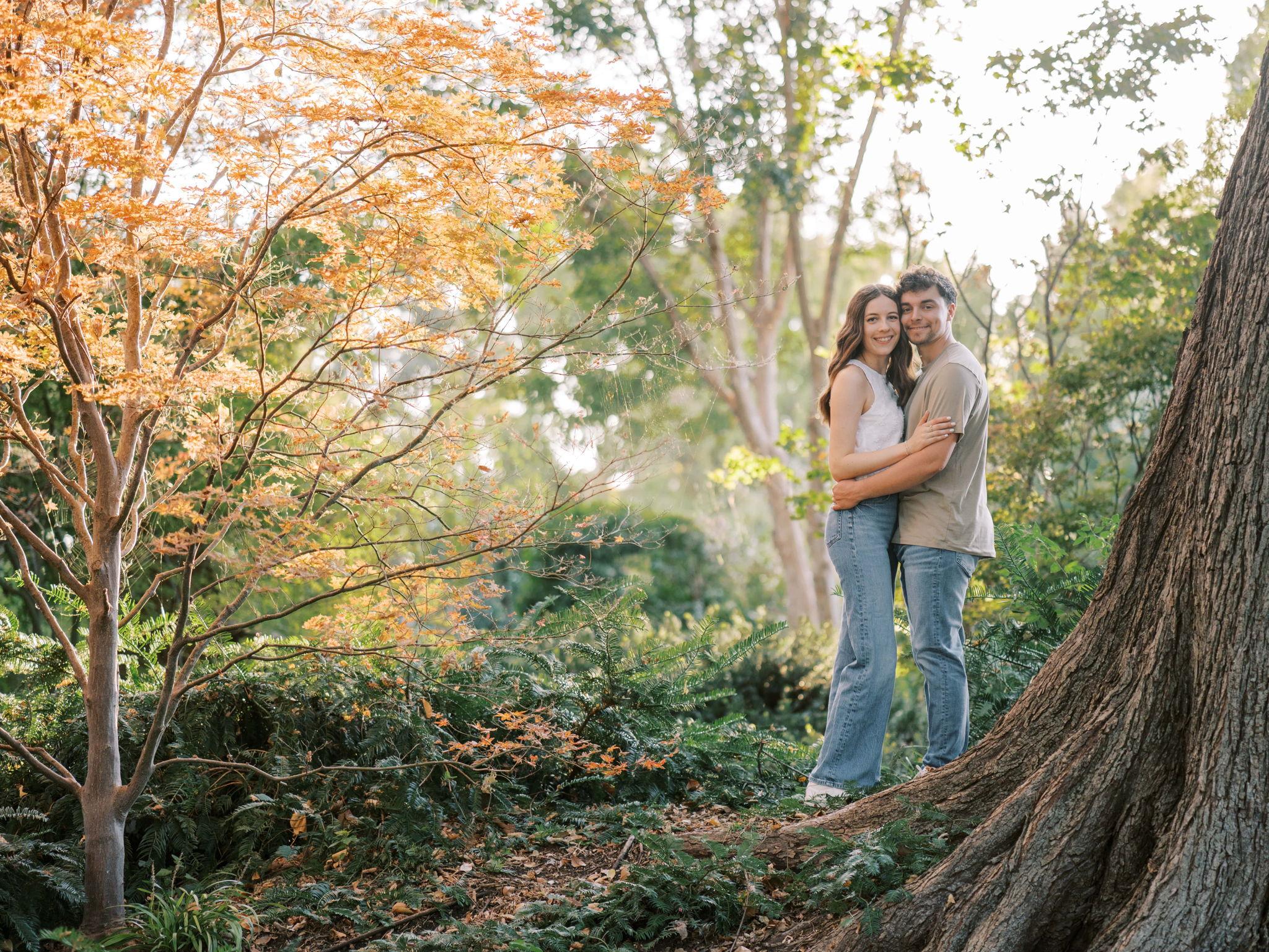 41c188e8-9704-45c1-8b79-640684b70e47