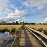 Hovander Homestead Park