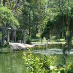 Airlie Gardens