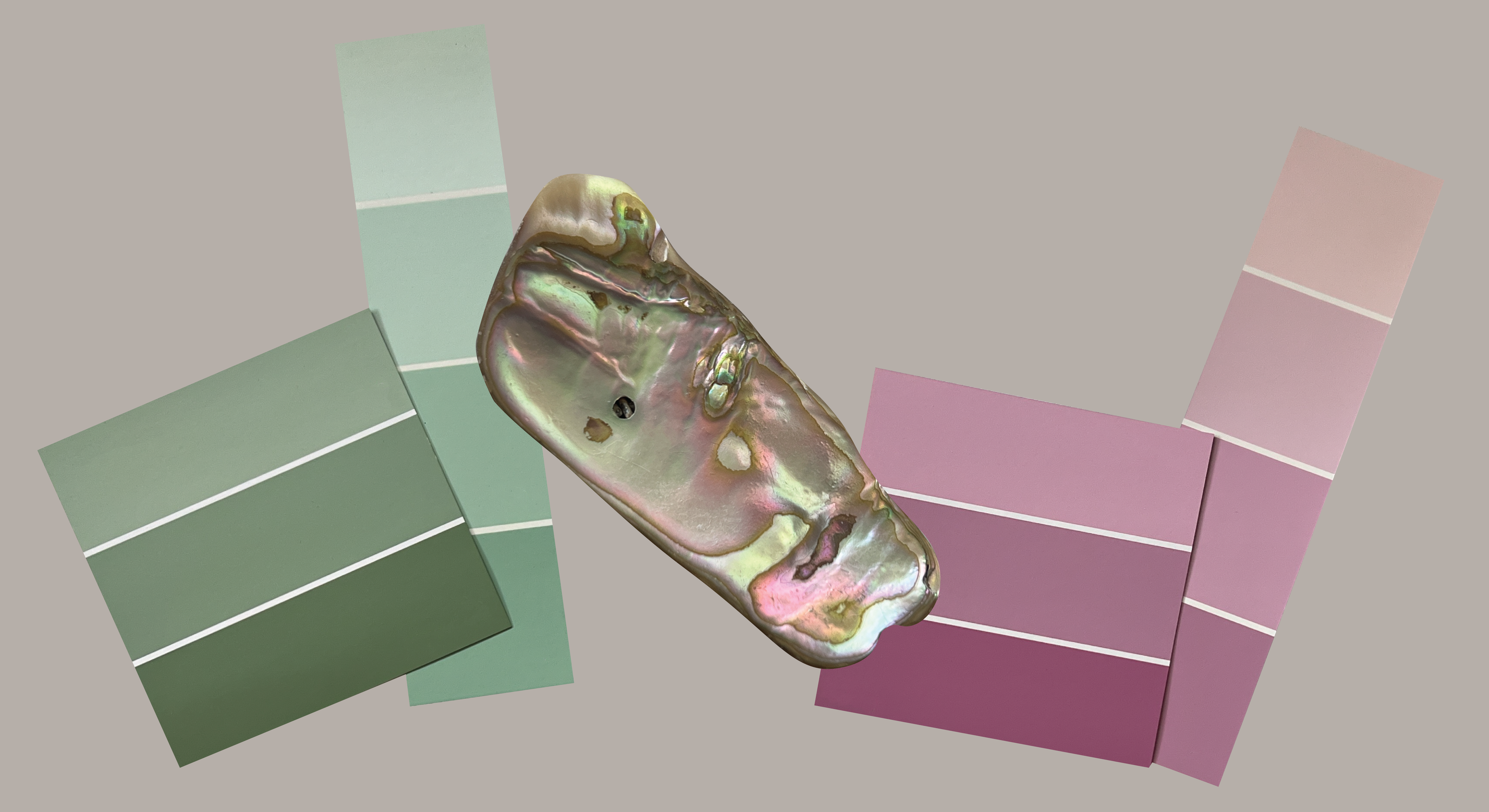 The Wedding Website of Taylor Smith and Tony Pierucci