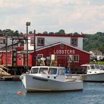 Cook's Lobster & Ale House
