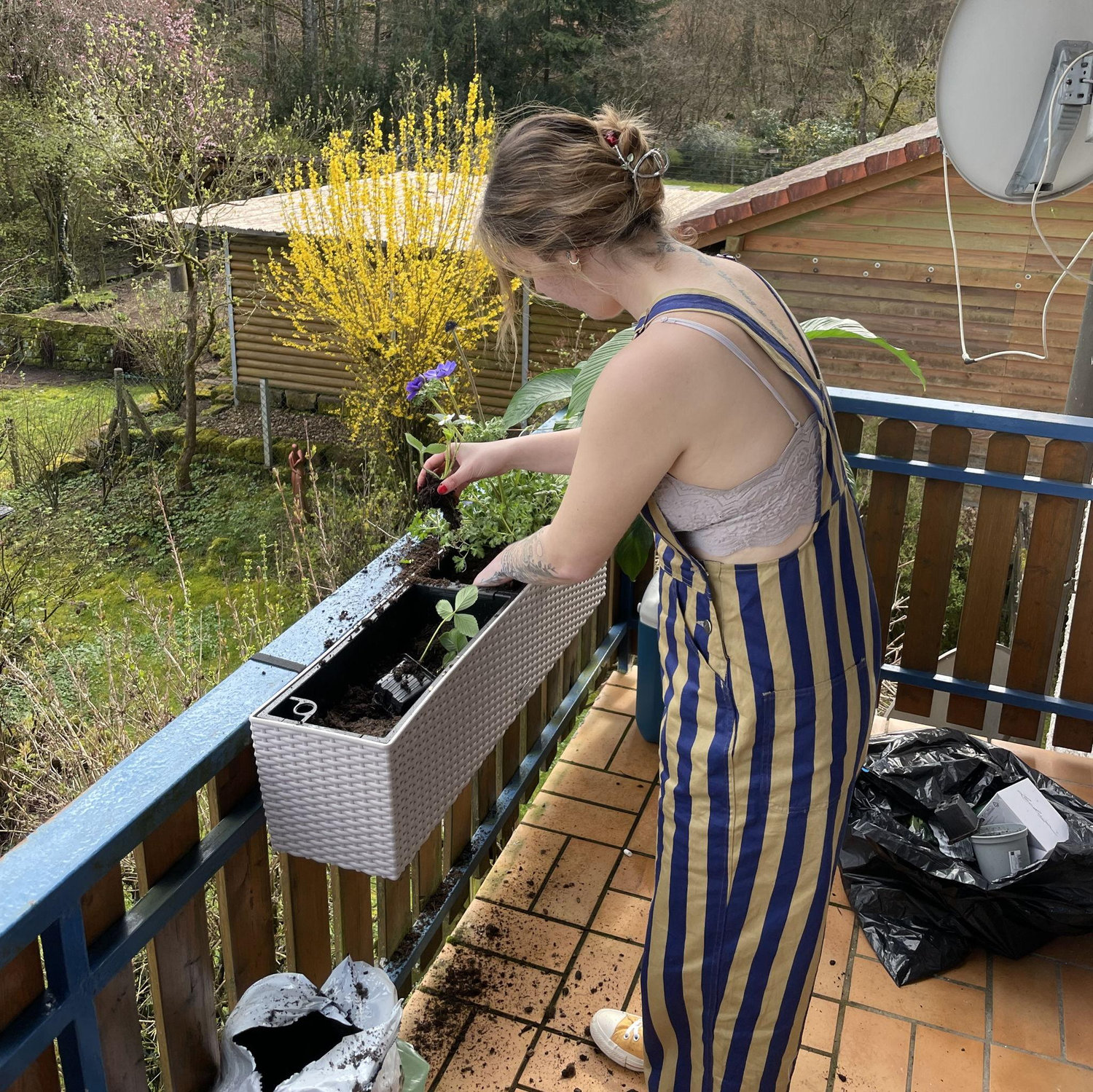 Our favorite part of spring the past couple years has been planting our garden on the balcony!
